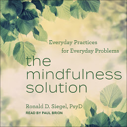 Icon image The Mindfulness Solution: Everyday Practices for Everyday Problems