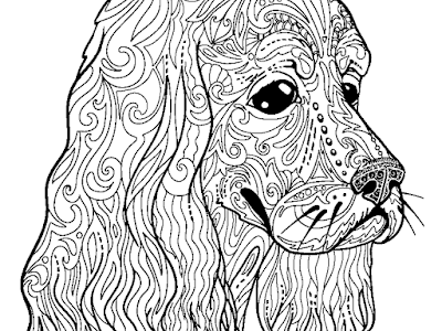 √99以上 大人 塗り絵 アプリ 237383-大人 の塗り絵 アプリ 無料