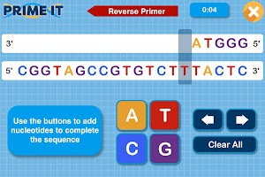 Prime It DNA Game