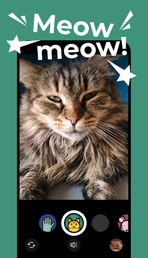 Android application Minka Minka - Cat camera screenshort