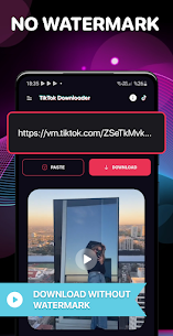 Video Downloader for TikTok 1