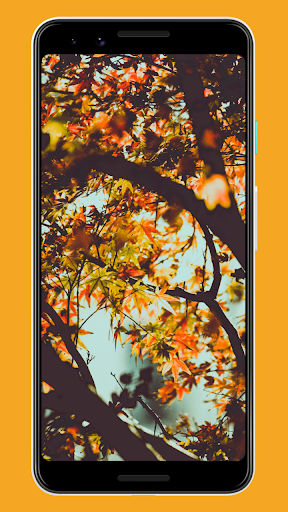 Fall Wallpapers & Backgrounds Screen 2