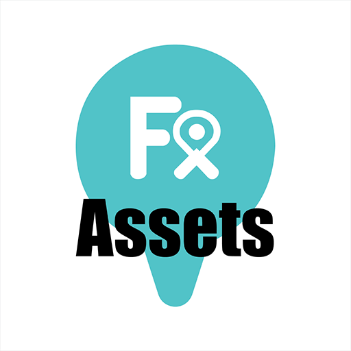 FX Asset