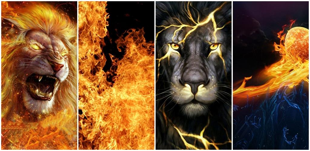 Download Fire Wallpaper – Fire Lion Backgrounds Free for Android - Fire  Wallpaper – Fire Lion Backgrounds APK Download 
