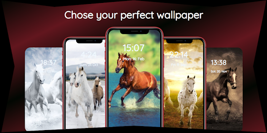Horse Wallpapers HD | Horses