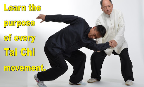 Captura de Pantalla 14 Tai Chi Martial Applications android