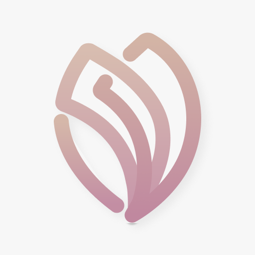 فيزاج - Vizage logo