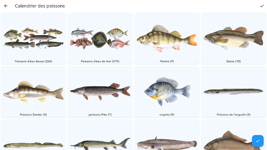 Toc : le calendrier des appâts - Peche et Poissons  Carnassiers, carpe,  truite, mer, coup… Toute l'actu de la pêche