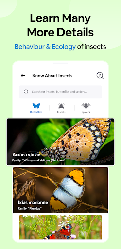 Insect Spider & Bug identifier Screen 3