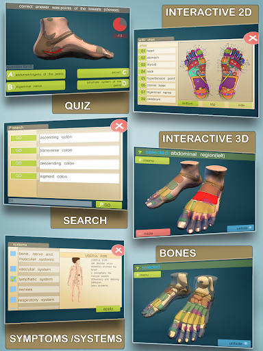 Screenshot of Total Reflexology 3D