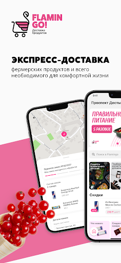 Android application Flamingo screenshort