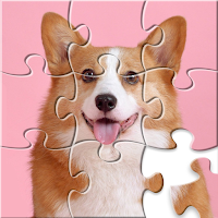 Jigsaw Puzzles:Puzzle Games HD