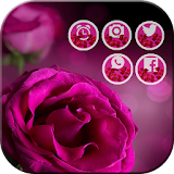 Fresh Purple Rose Launcher icon