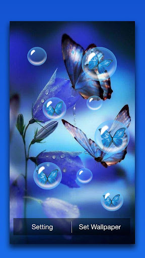 Butterfly Live Wallpaper Screen 2