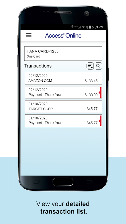 Access® Online Screen 2