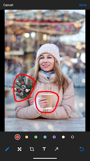 Photo Markup Tool Screen 2