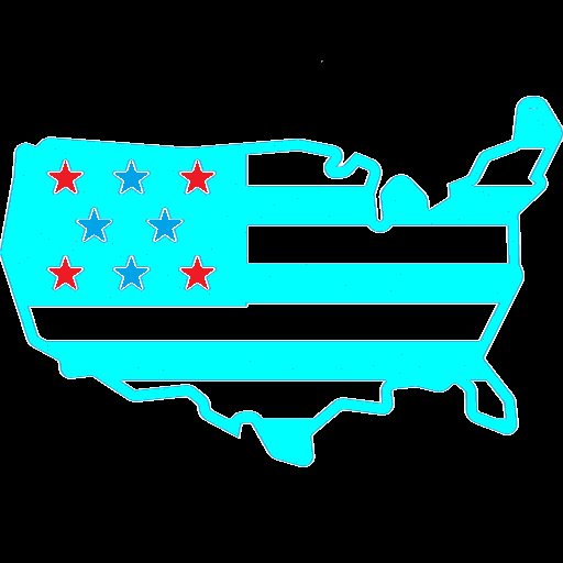 USA State Shape Quiz logo