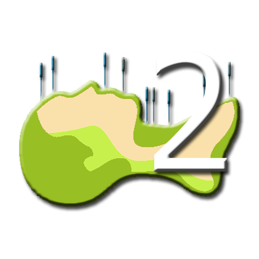 Acupoints Quiz, Part2 1.0 Icon