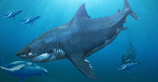 Shark Hunting 3D : Shark Games Screen 2