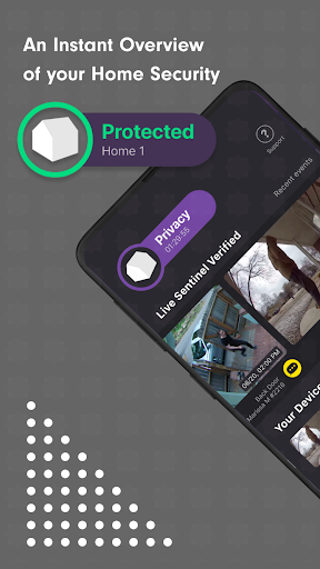 Deep Sentinel Home Security Screen 2