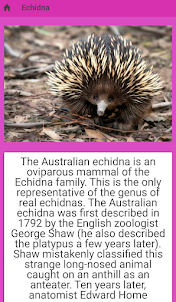 Australian wildlife