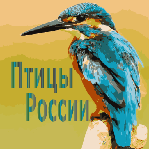 Птицы России logo