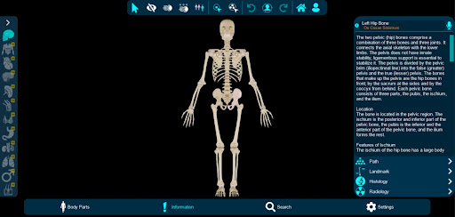 Vesalii Anatomy Student Screen 3