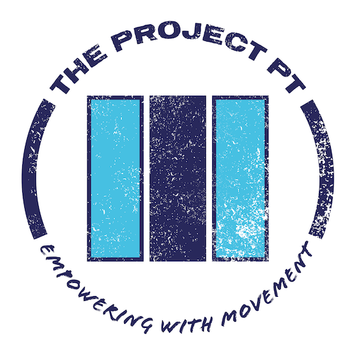 The Project PT Download on Windows