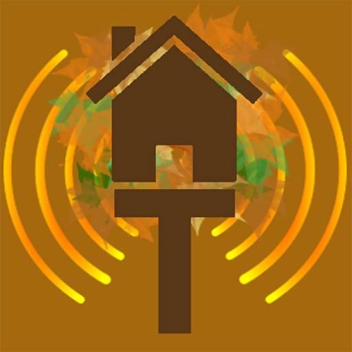 The Treehouse Radio Player logo