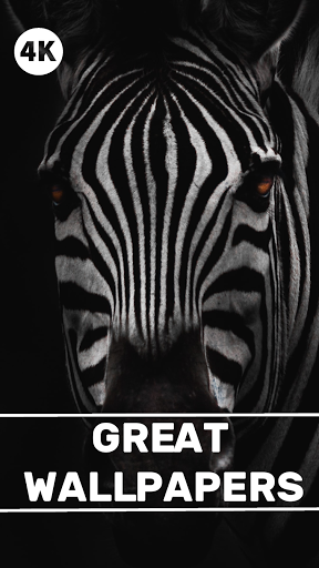 Zebra Wallpapers - Screen Background