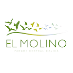Cover Image of Download El Molino Parque Central  APK