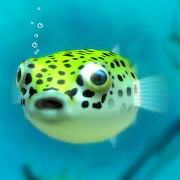 「Playing with Puffer fish」圖示圖片
