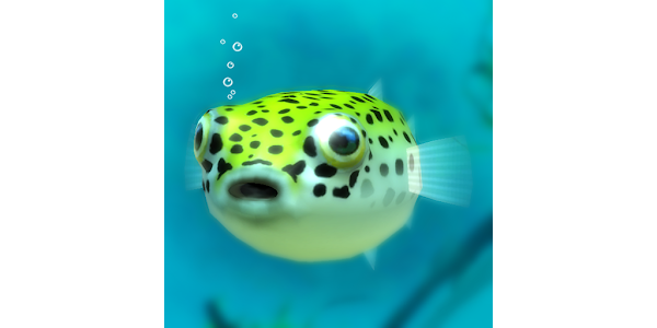 Playing with Puffer fish - Apps on Google Play