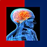 Anatomy and Physiology Quiz icon