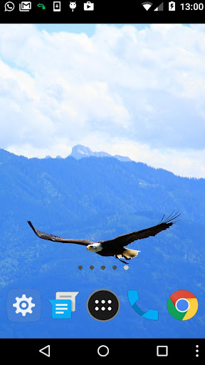 birds of prey wallpaper Screen 2