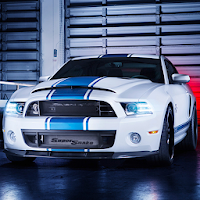 Awesome Mustang Shelby Wallpaper