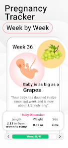 Track my weeks of cheap pregnancy