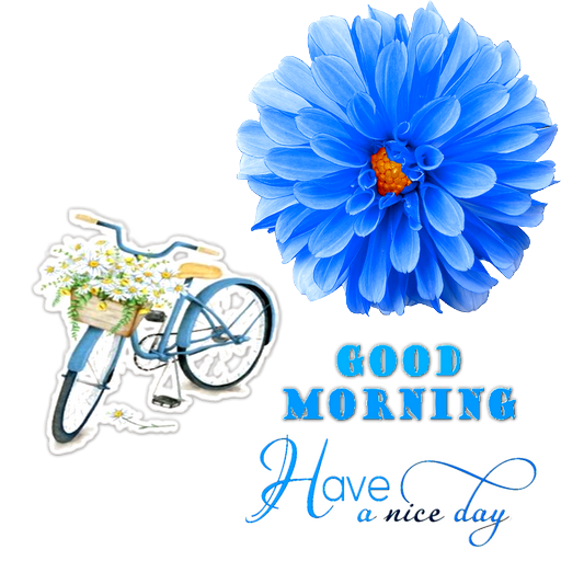 Good morning afternoon evening night image message