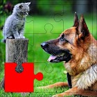 Dog & Cat Puzzles 2