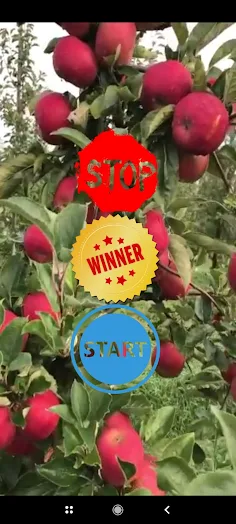 Apple  Game - Screenshot 1