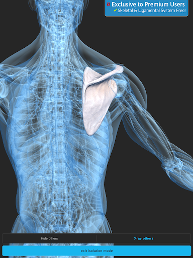 Screenshot of Visual Anatomy 3D - Human body