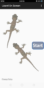 Screenshot image