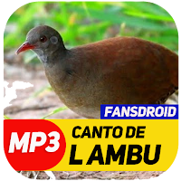 Canto De Lambu Completo