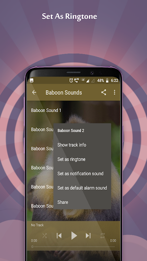Baboon Sounds Screen 3