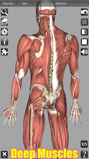Screenshot di anatomia 3D