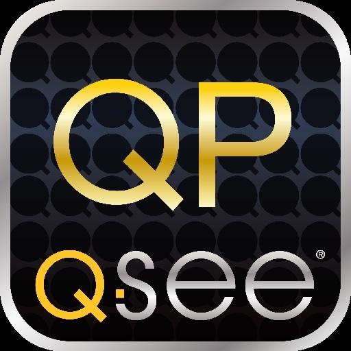 QP VIEW logo