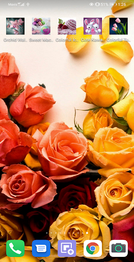 Beautiful Roses HD Wallpapers Screen 3