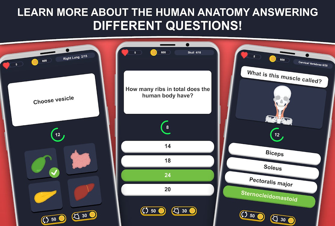 Anato Trivia Quiz On Human Anatomy De Tarter Studio Android Juegos Appagg