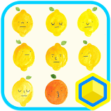 레몬과 오렌지 : 카카오홈 테마 icon