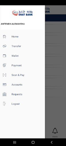 Enat Bank Screen 3
